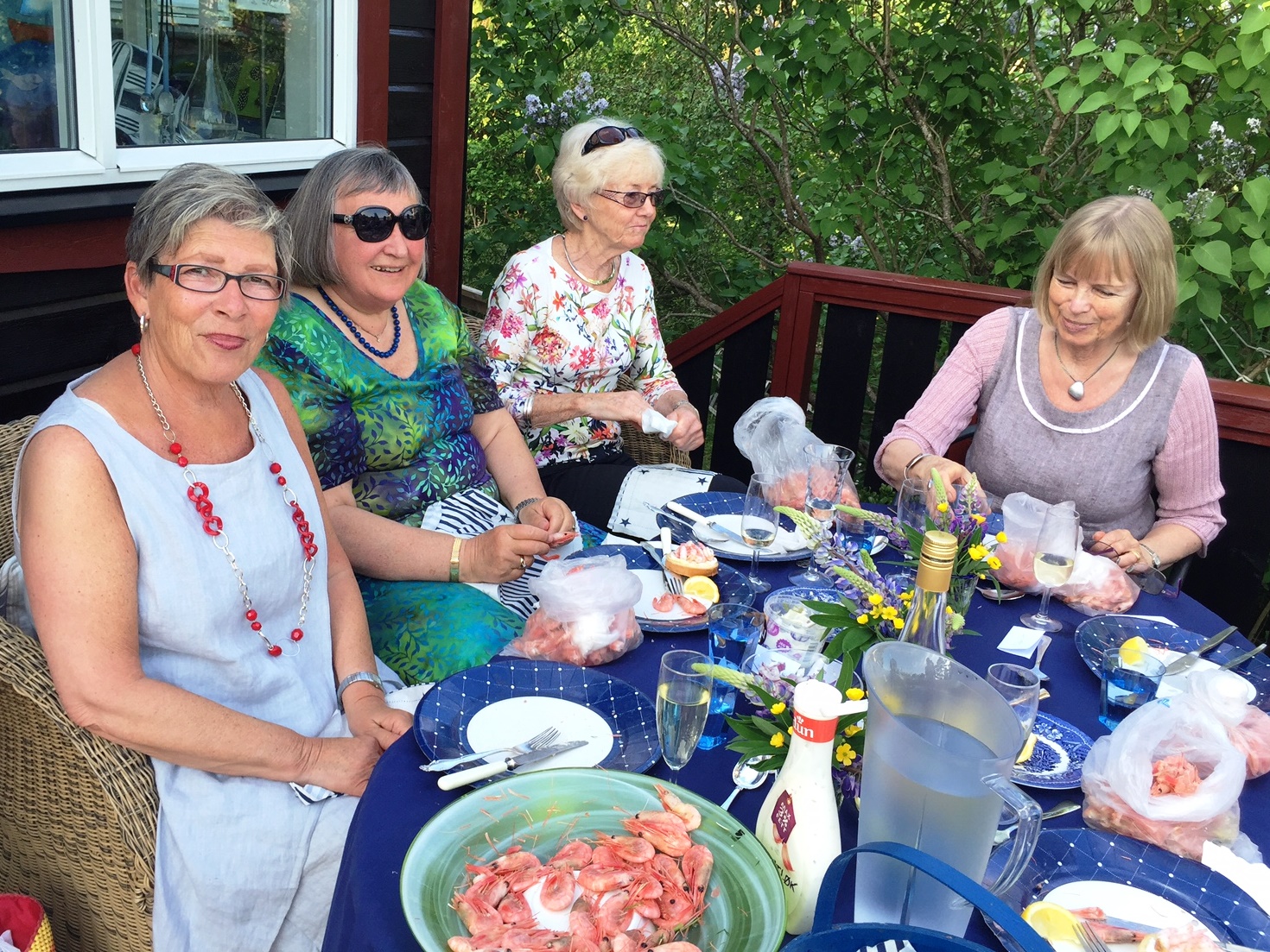 Sommerfest på Annes hytte i Ullerøy, 2. juni 2016