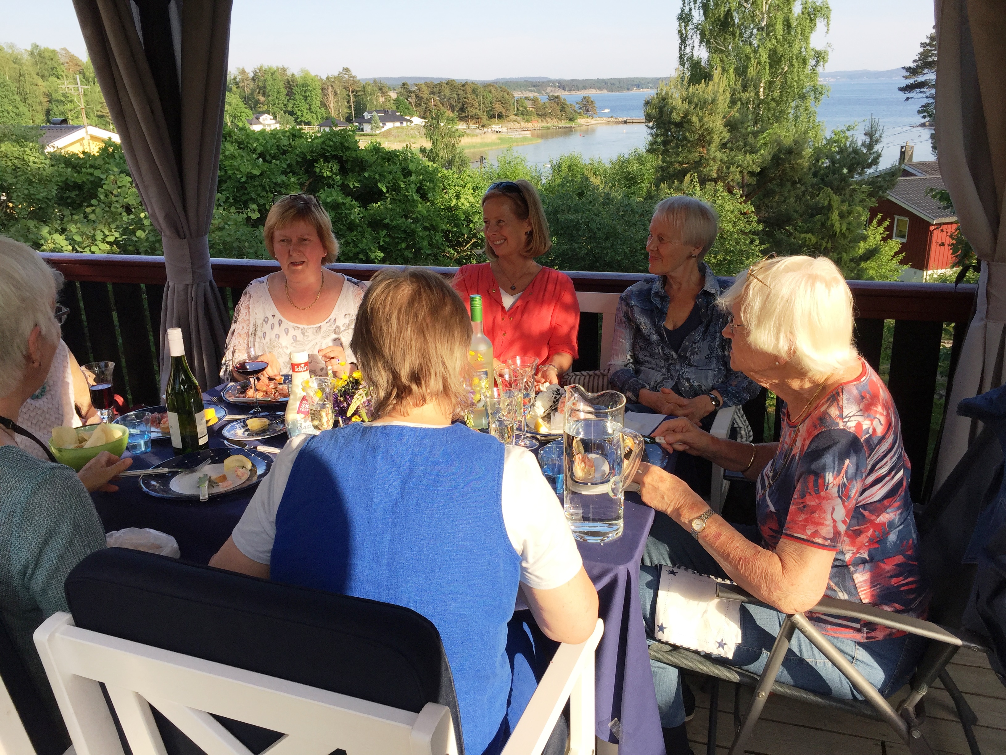 Sommerfest på Annes hytte i Ullerøy, 2. juni 2016