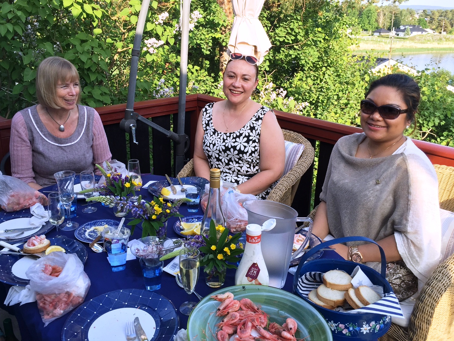 Sommerfest på Annes hytte i Ullerøy, 2. juni 2016