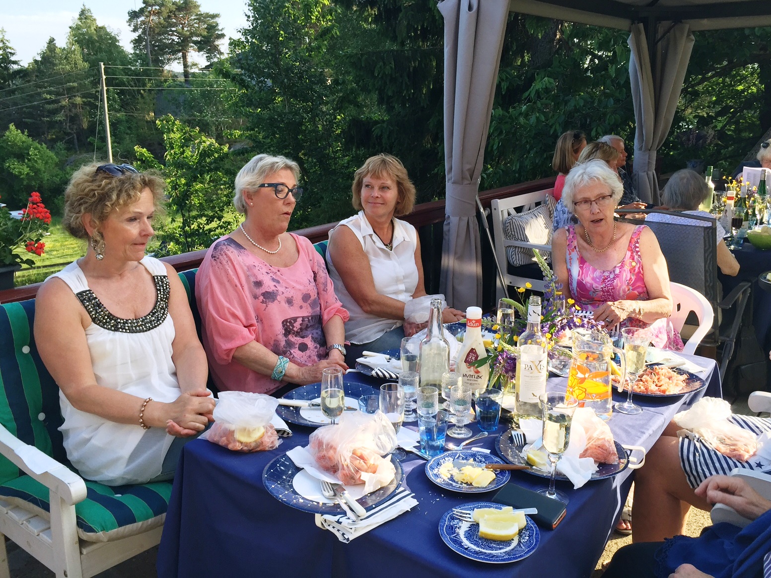 Sommerfest på Annes hytte i Ullerøy, 2. juni 2016