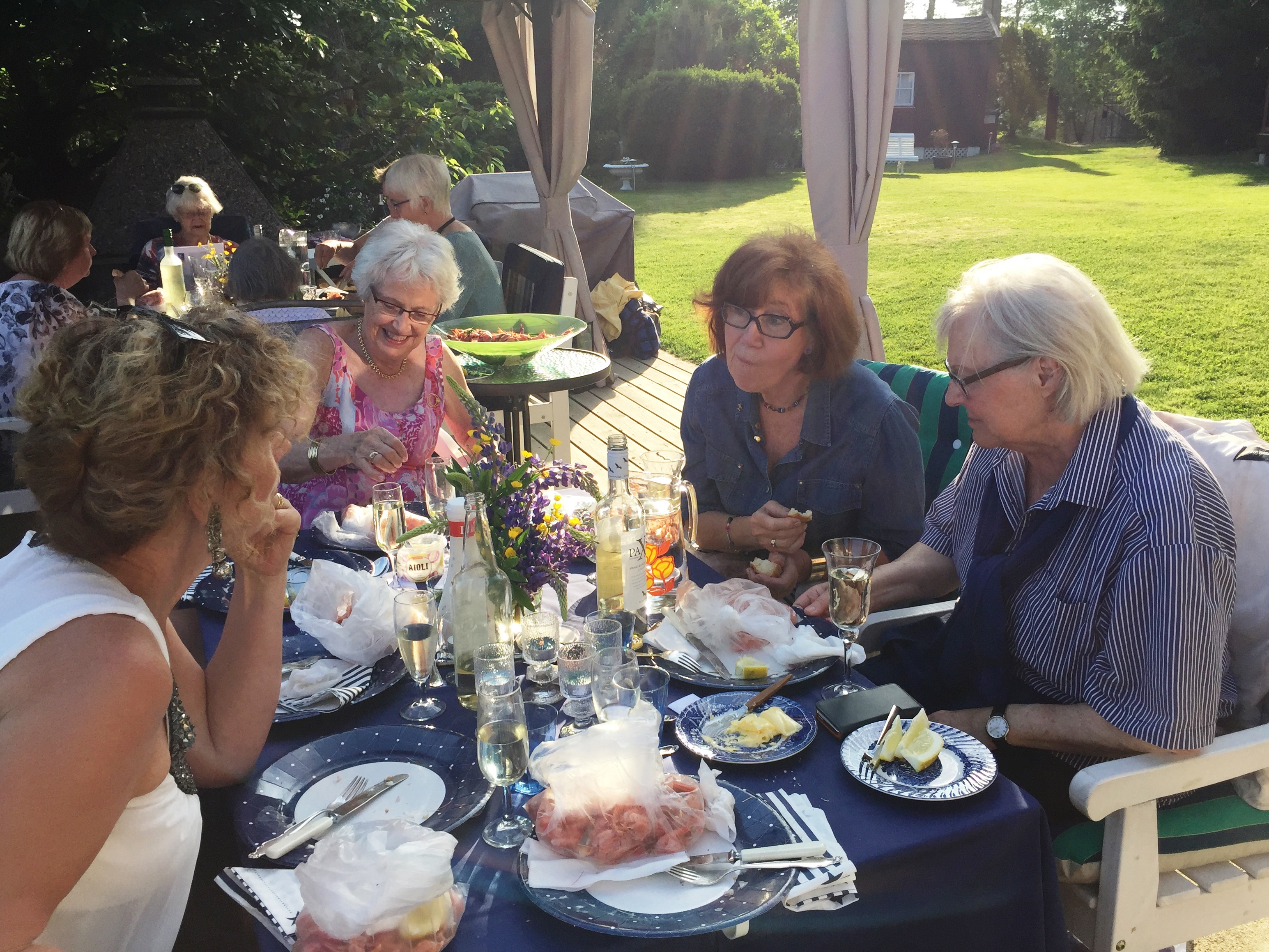 Sommerfest på Annes hytte i Ullerøy, 2. juni 2016