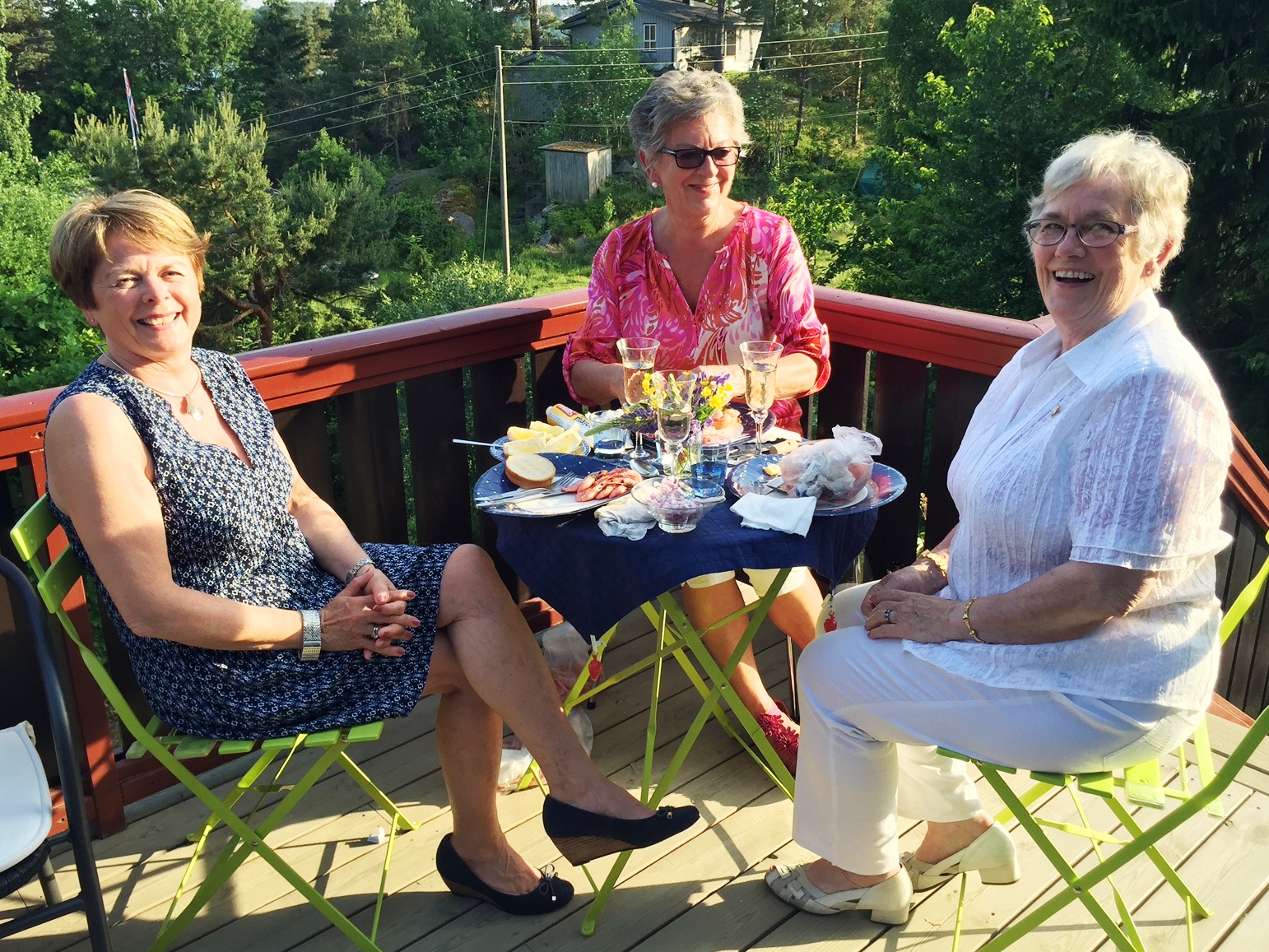 Sommerfest på Annes hytte i Ullerøy, 2. juni 2016